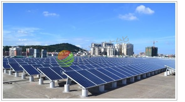 ѧУ�ݶ��������